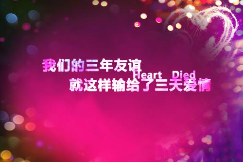 北风秋霜覆往忆沈沐柒傅砚寒小说_热门小说大全北风秋霜覆往忆(沈沐柒傅砚寒)免费阅读