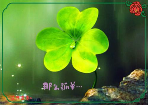 黎洛安许星程最新章节更新时间 黎洛安许星程小说黎洛安许星程免费阅读