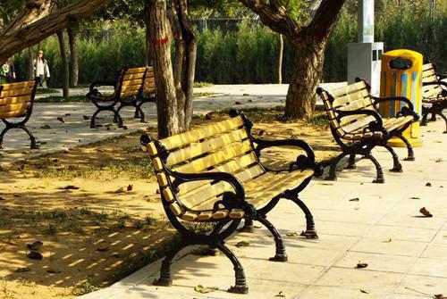 顾念苏晚晚免费阅读最新章节 她不想爆红小说最新章节列表