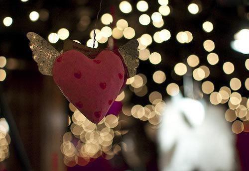 青风不待我，野菊踏自来全文阅读（苏晚晴萧寒声温如）最新章节_青风不待我，野菊踏自来全文阅读