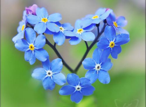 林思悦高博远唐梓柔最新章节列表 他辨不清路,我收了灯男主林思悦高博远唐梓柔小说