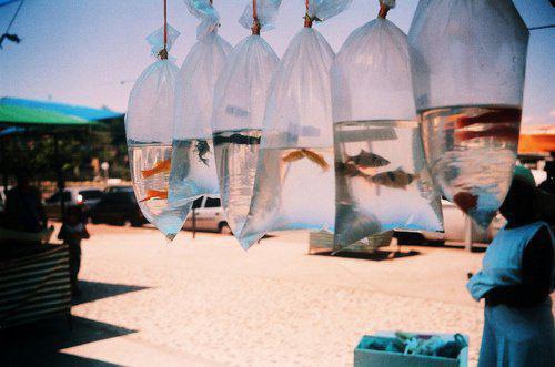 向晴天什么关系 员工大会,老板批评我白嫖公司电费全文免费阅读