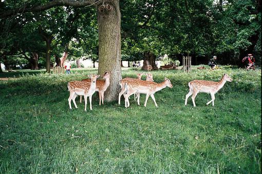 晏暖沈宵然秦瑟瑟的最新章节小说 那夜的雨，如一场好梦延续小说全文阅读