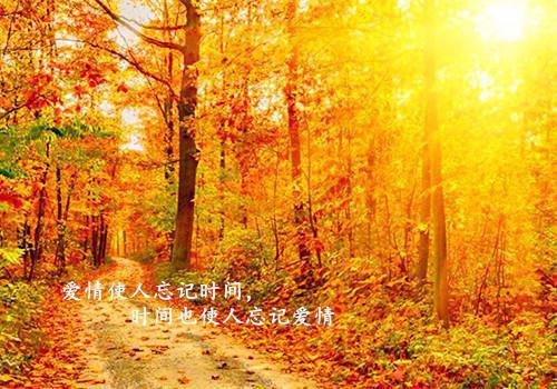 楚淮舟夏知意的小说叫什么 夏知意楚淮舟原著在线阅读