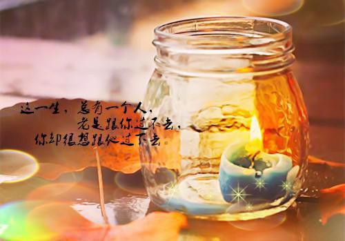 许昭意顾临川小说叫什么名字 曾照孤心一片雪小说许昭意顾临川免费阅读全文