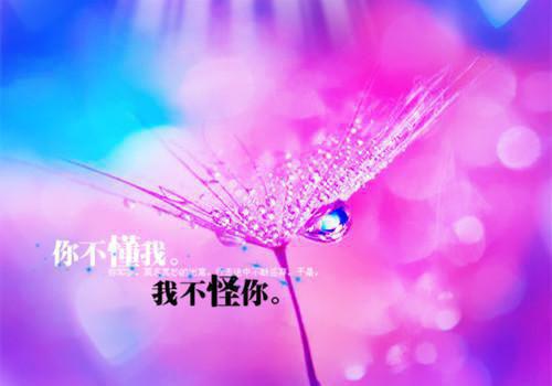 姜闻曦时阔宁小可小说笔趣阁最新章节 协议婚姻倒计时,他急着去见心上人知乎小说