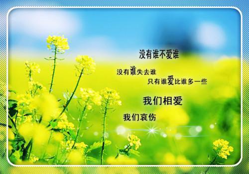 林见莞顾云峥笔趣阁免费阅读 又见凤凰花满地小说全文阅读