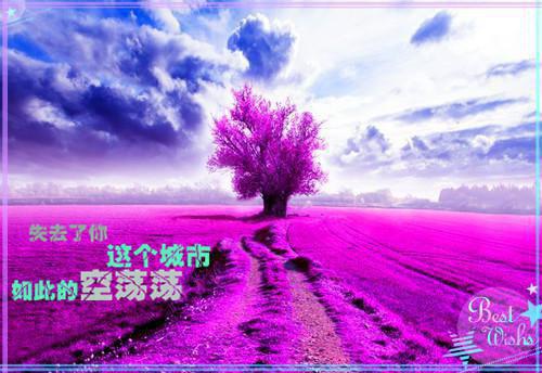 姜念沐清歌沈元清莲儿和谁在一起了 念念不忘，再无回响免费阅读全文