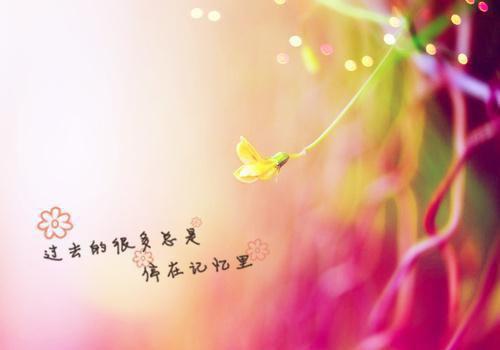 吴嘉豪刘露露小说名 系统教我做人小说正版阅读