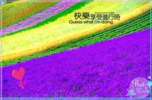 谢厌沈南姿是哪部小说 和王爷互恨八年,我快死了他爱了?免费阅读小说