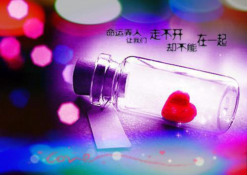 宋诗晴执明小说免费阅读 宋诗晴执明最新章节更新