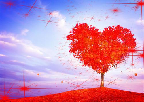 今朝暖烟似旧邻创作出彩(祁少璟谢倾黎)全章在线无广告高口碑小说