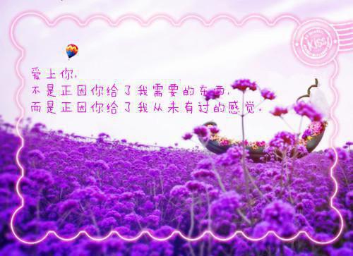 秦晚欣萧赫尘小说 秦晚欣萧赫尘笔趣阁最新章节列表