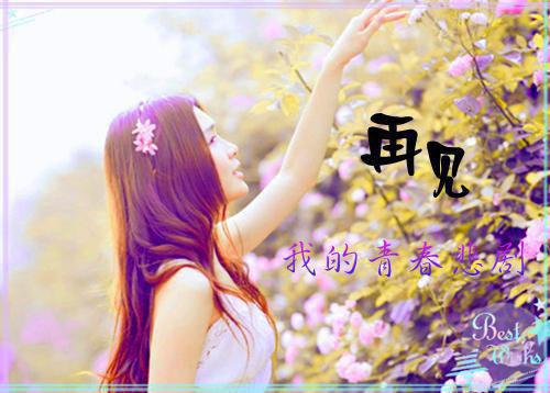 乔晚宁霍商蔚蓝最新章节更新 前度小说全文阅读