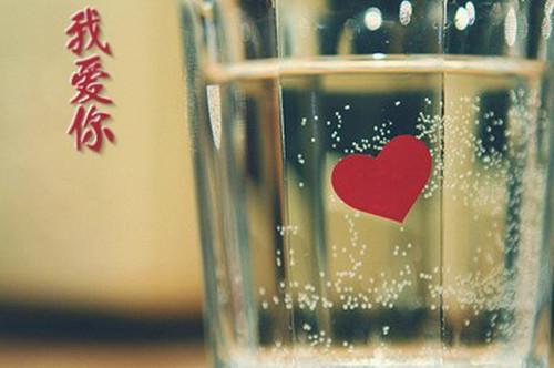 姜总陈阳的最新章节小说 后整顿职场,我反手索赔千万小说完整版免费