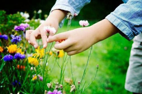 孟怀宴沈棠最新章节更新状态 重生后被疯批前夫强取豪夺了小说孟怀宴沈棠免费阅读