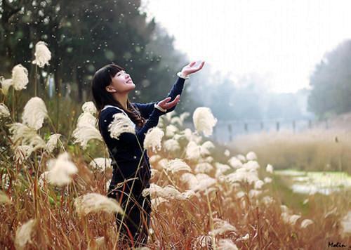 顾念苏晚晚小说免费阅读全文 她不想爆红最新章节更新