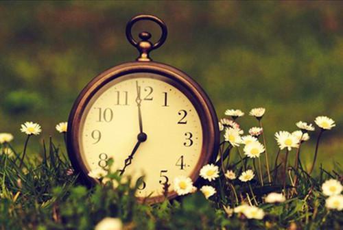 陆允年宋哲远小说笔趣阁最新章节 把我丢在雪山后,他们悔疯了笔趣阁最新章节