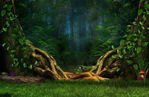 夏若裴屿寒小说结局 爱意离去,再无回响免费阅读全文