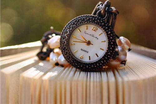 容瑾戈沈栖月免费阅读 沈栖月容瑾戈完整版