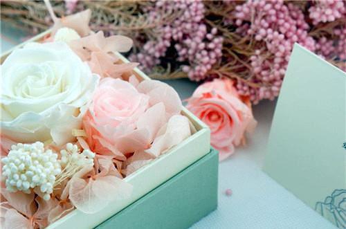 季砚泽程汐沐结局 祭我一场白昼飘雪小说正版阅读