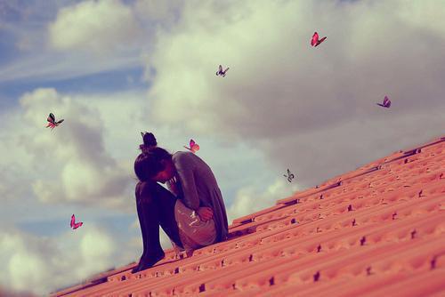 沈娇娇傅西辞什么关系 奋斗的金丝雀：后续小说全文免费