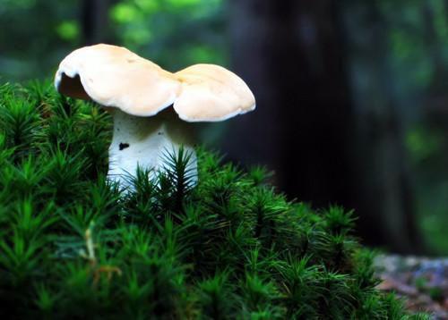 苏浩陆晓晓杨宇凡小说名字 耗尽余情,只剩分离最新章节免费阅读