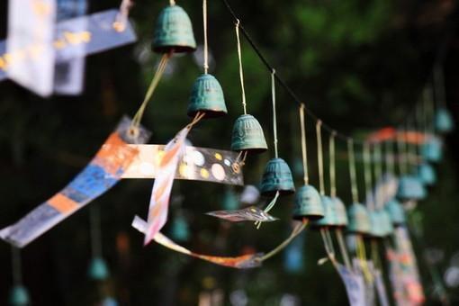 沈晚晚顾宴琛结局 我成为病娇总裁的金丝雀后,全家悔疯了小说免费阅读全文最新章节