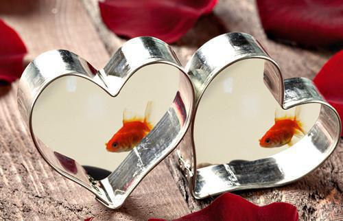 湘湘笔趣阁免费阅读 幸福迟到了五十年小说正版免费阅读