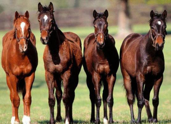 苏浩陆晓晓杨宇凡小说免费阅读最新章节 耗尽余情,只剩分离最新章节免费阅读