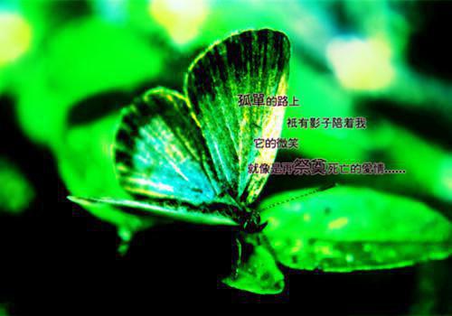 思与祈(林温祈司憬)最新推荐_思与祈(林温祈司憬)免费阅读