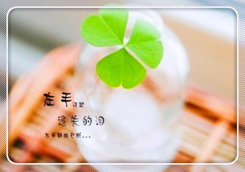 棠枝傅京洲乔念语的最新章节更新时间 棠枝傅京洲by某君