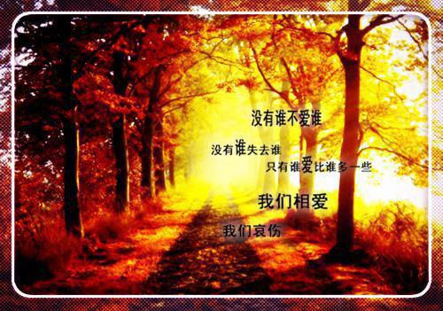 舒以宁解连城舒晚樱笔趣阁 回首烟波俱渺然最新章节免费阅读