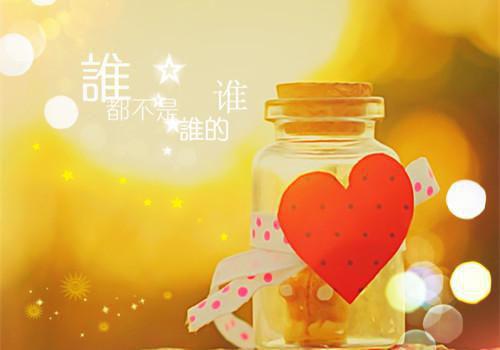 唐深沈念舒陈韵飞是哪部小说 知青返乡申请被未婚妻改成喂猪后小说全文阅读