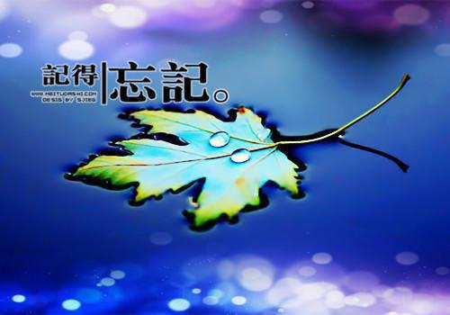 叶青弦傅临渊沈之禾小说结局 萤火小幻梦大小说