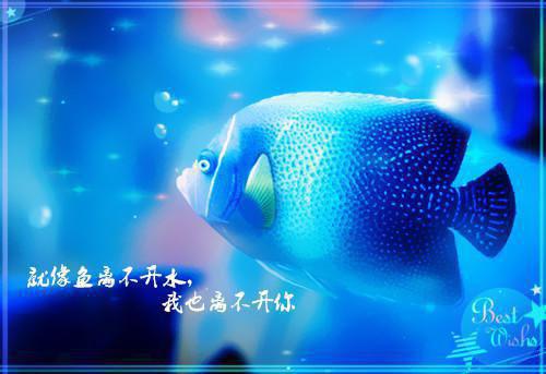 谢辞风陆知画最新章节更新时间 陆知画谢辞风笔趣阁