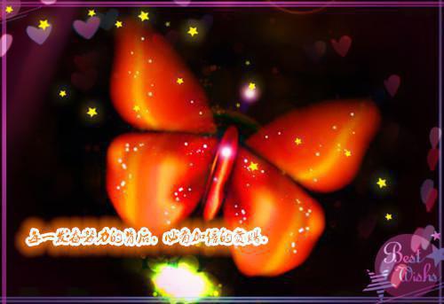 执手成殇:全文无删减在线TXT林月杳顾景和