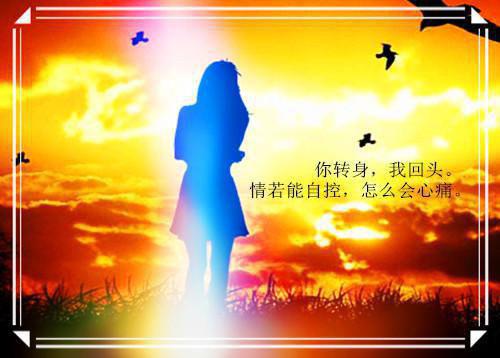 我赵娇朱钰最新章节内容 深宫我主沉浮小说正版免费阅读