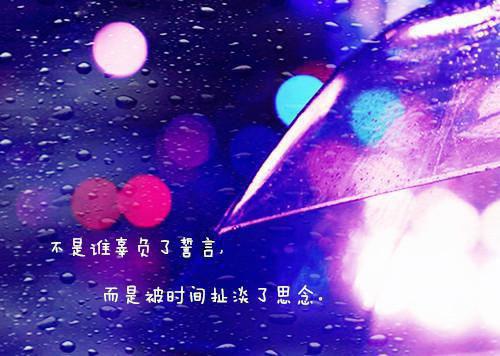 舒禾贺洛屿赵晚乔小说笔趣阁最新章节 舒禾贺洛屿全文阅读