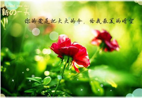 免费完结小说妈妈总爱和我雌竞，我重生换妈后她悔疯了：番外(谢清芳谢娇娇)_妈妈总爱和我雌竞，我重生换妈后她悔疯了：番外(谢清芳谢娇娇)小说完整版免费阅读