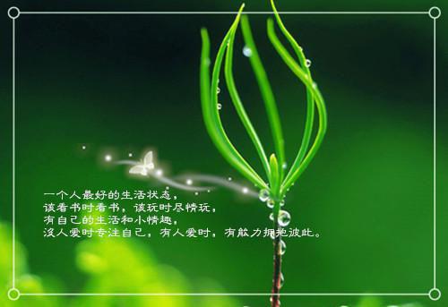 陈小姐免费阅读 言晏:后续最新章节免费阅读