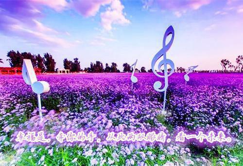 陈招娣沈清岚沈娇娇和谁在一起了 归途家女电子书