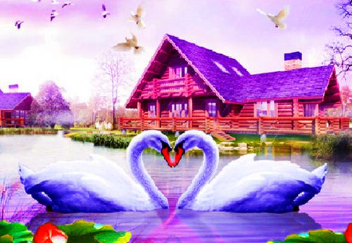 沈意安陆时延沈果果免费阅读 沈意安陆时延小说免费阅读全文最新章节