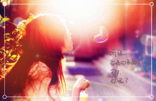 苏叶李樾李之橪舒只音小说结局 月色纠正小说苏叶李樾李之橪舒只音免费阅读