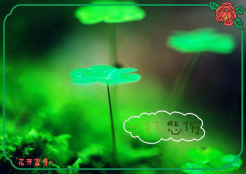 空降查岗，总裁老公他慌了言情董景桐顾渊林雅推荐完本_已完结空降查岗，总裁老公他慌了（董景桐顾渊林雅）