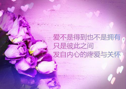沈栗裴江树免费阅读最新章节结局 缘分默许你离去最新章节免费阅读