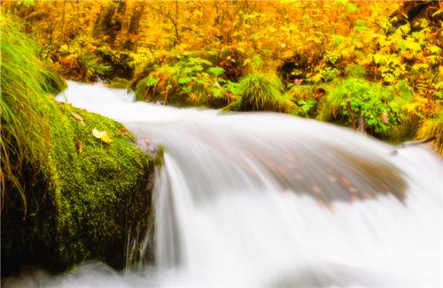 (番外)+(全文)温程楚声(病树前头万木春小说：+后续+结局)全文免费阅读无弹窗大结局_(温程楚声)最新章节列表_笔趣阁(病树前头万木春小说：+后续+结局)