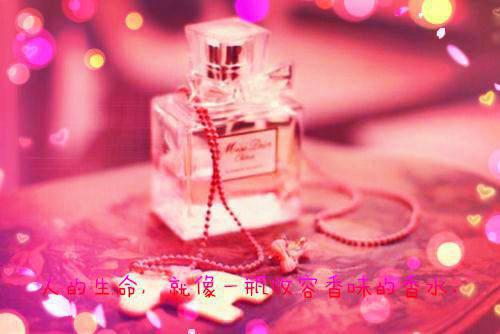 最新章节悟性逆天,我以凡躯镇神帝(沈青舟凤清池)_悟性逆天,我以凡躯镇神帝沈青舟凤清池最新章节