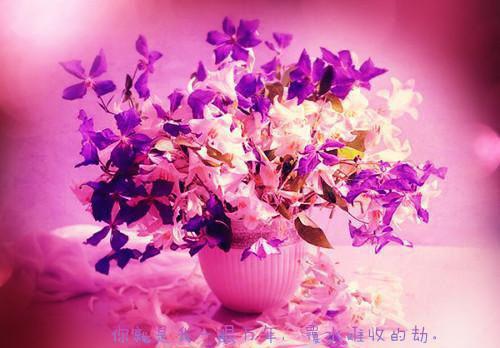 总裁，您那为爱发疯的兄弟好像被我PUA瘸了最新小说（苏然陆知衍）全文阅读