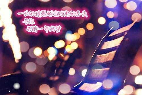 周书遥许斯年钱小爻免费阅读最新章节结局 雪落心冢未觉深电子书